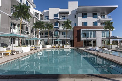 Pet-Friendly Apartments in Irvine, CA - The Royce - Large Resort Size Pool with Sun Lounge Chairs and Cabanas